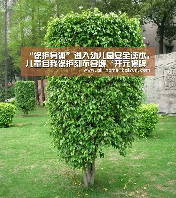 开云体育官网