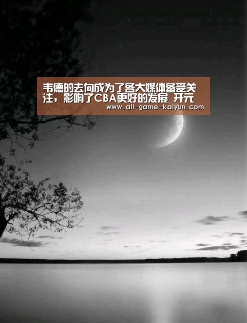 韦德的去向成为了各大媒体备受关注,影响了CBA更好的发展_开元棋牌网址(图1) 开元